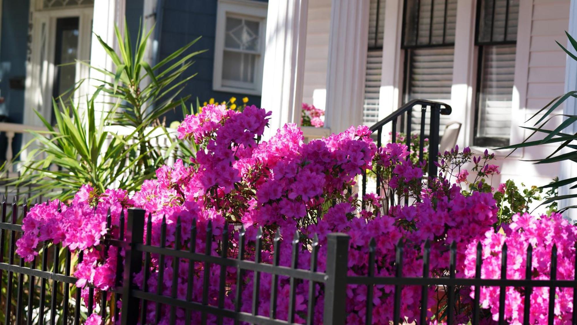 5 Bedroom Downtown Savannah Ga Ngoại thất bức ảnh